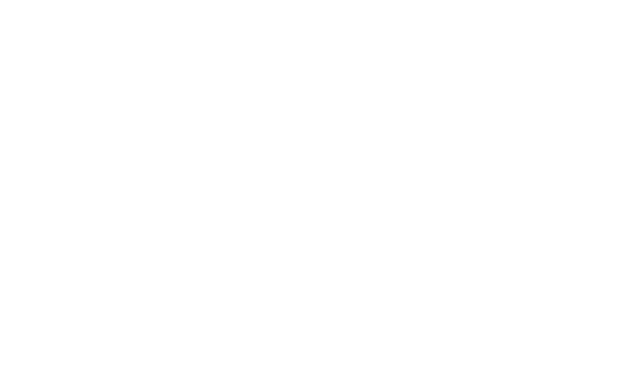 Logo La Fleur de Lys